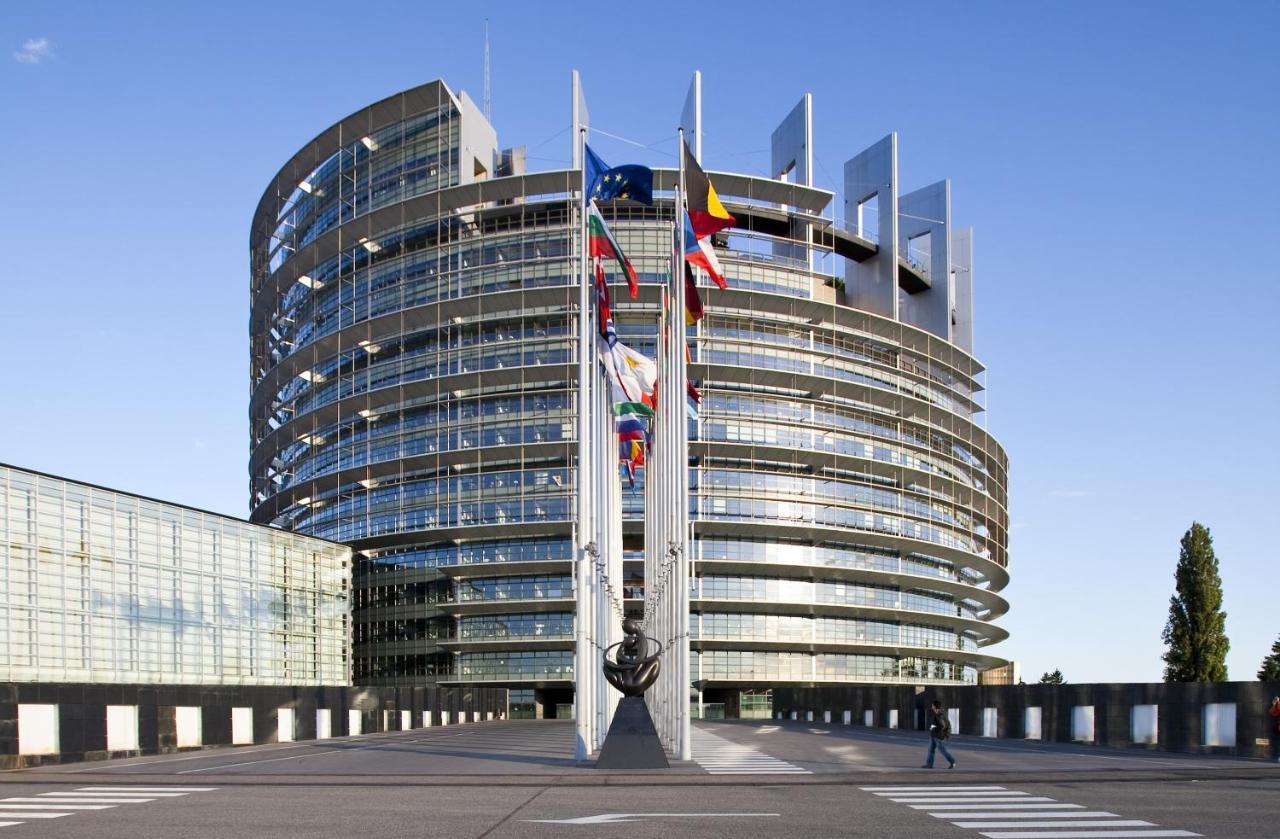 Green Cellar Studio Centre De Strasbourg - 5 Min Conseil De L'Europe Luaran gambar